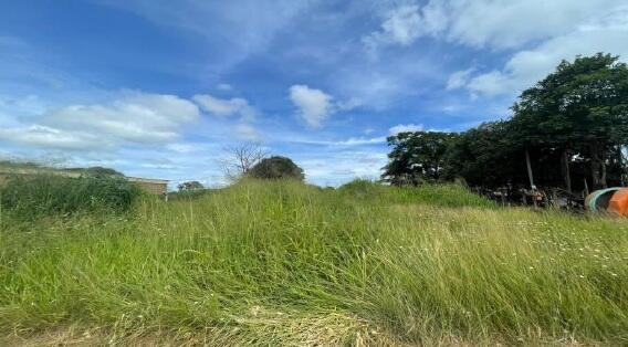 Terreno Bradesco em Morrinhos / GO - 175dbada
