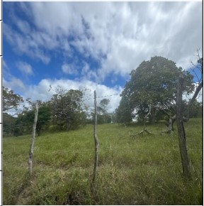 Gleba da Caixa em CANHOTINHO / PE - 10283568