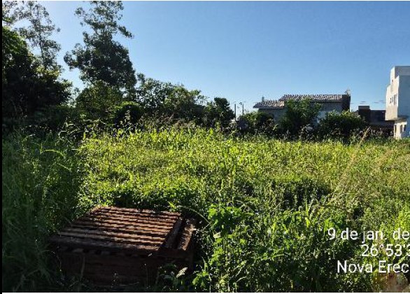 Terreno da Caixa em NOVA ERECHIM / SC - 10291019