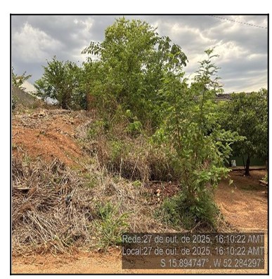 Terreno da Caixa em BARRA DO GARCAS / MT - 10303462
