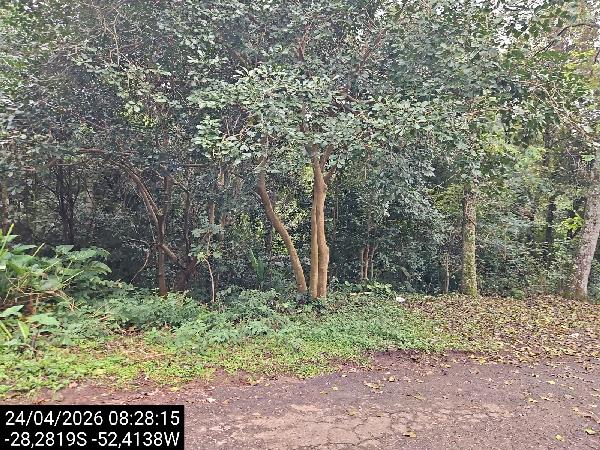 Terreno da Caixa em PASSO FUNDO / RS - 1444406668496