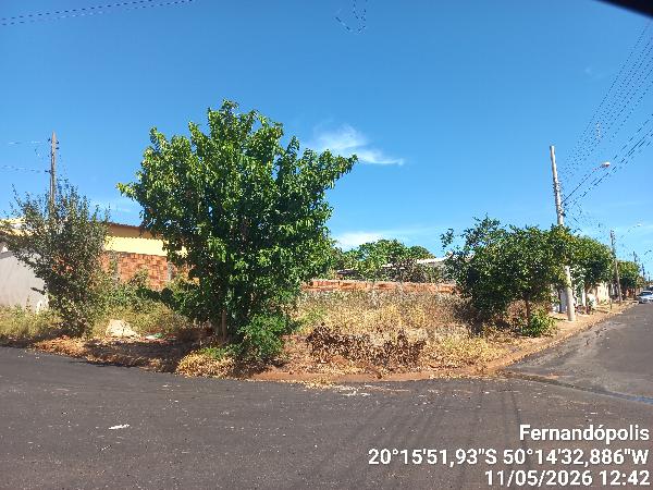 Terreno da Caixa em FERNANDOPOLIS / SP - 8444425446507