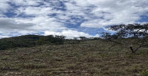 Imóvel Rural Bradesco em Rio Pardo De Minas / MG - d27645f7