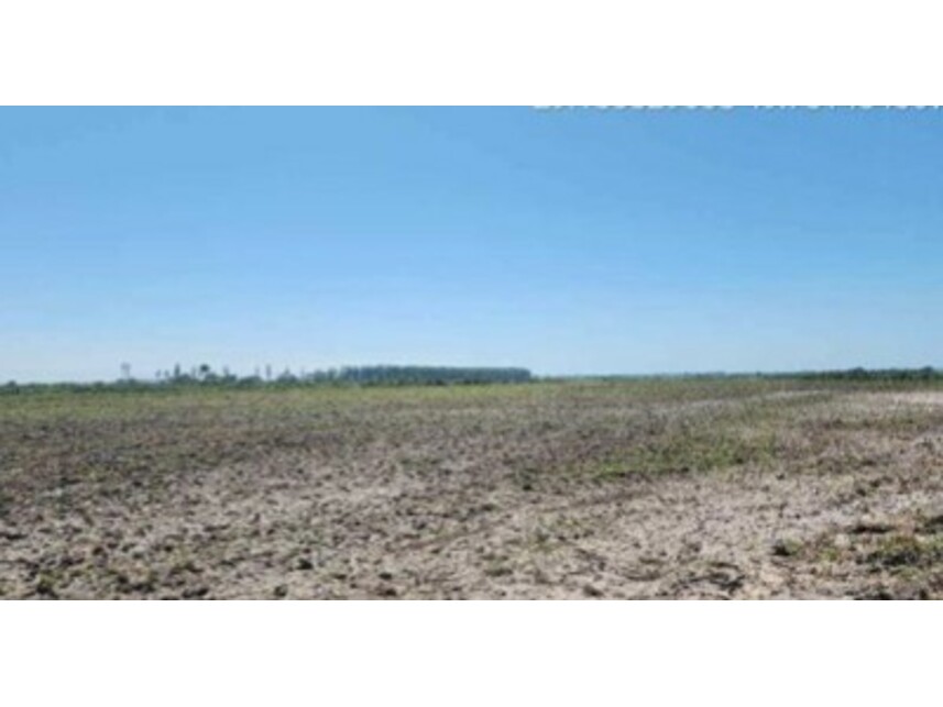 Imóvel Rural Bradesco em Santa Rosa Do Sul / SC - 1b4ec4c2
