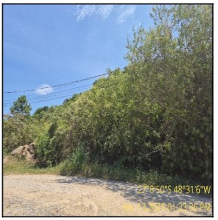 Terreno da Caixa em BOMBINHAS / SC - 10307861