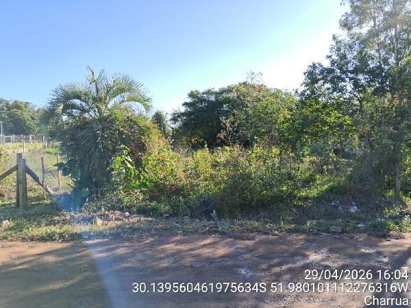 Terreno da Caixa em BUTIA / RS - 1444418375286