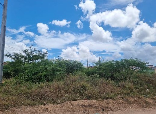 Terreno da Caixa em NOSSA SENHORA DO SOCORRO / SE - 8444430977175