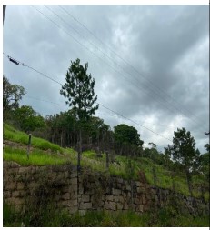 Terreno da Caixa em RIBEIRAO PIRES / SP - 10007318