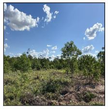 Gleba da Caixa em CUIABA / MT - 10186357