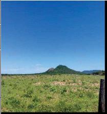 Imóvel rural da Caixa em MORPARA / BA - 10215244