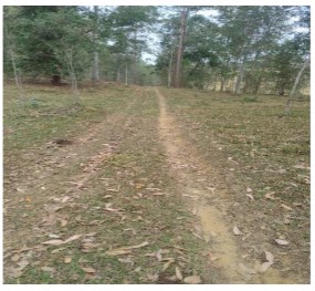Imóvel rural da Caixa em CATAGUASES / MG - 10286392
