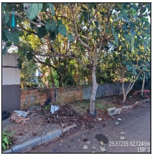 Terreno da Caixa em CANTAGALO / PR - 10309344
