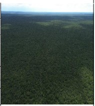Imóvel rural da Caixa em BREJO DO PIAUI / PI - 10309351
