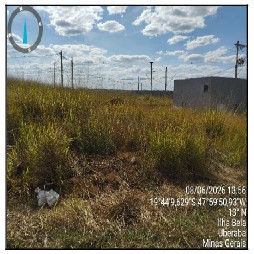 Terreno da Caixa em UBERABA / MG - 8444426181868