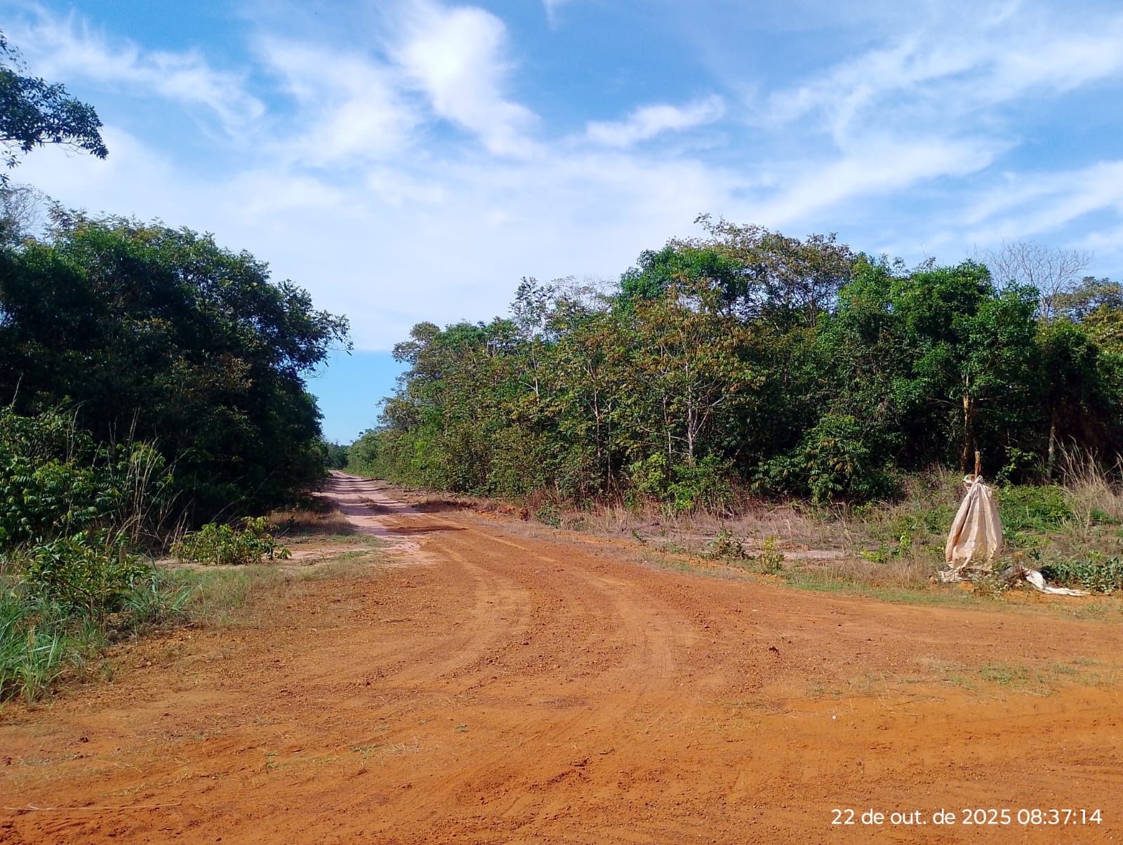 Desmembrada do BB em Campo Novo Do Parecis / MT - 156