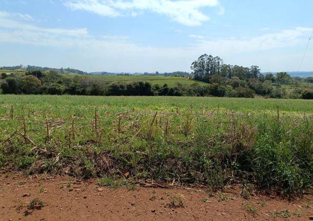 Lote do Santander em NOVA TEBAS / PR - 02.23965