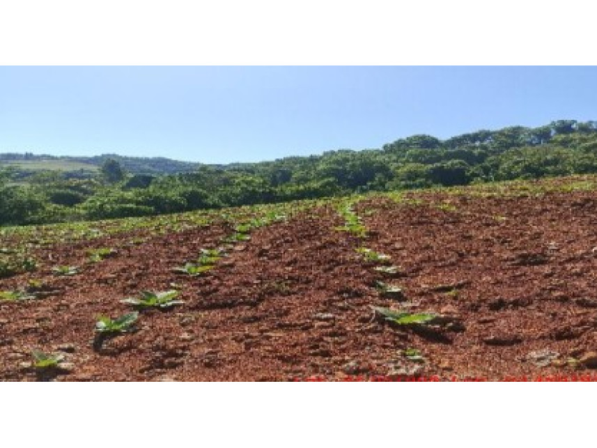 Imóvel Rural Bradesco em Mondaí / SC - 6473794e