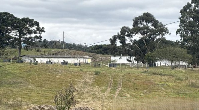 Imóvel Rural Bradesco em Farroupilha / RS - a214f0c3
