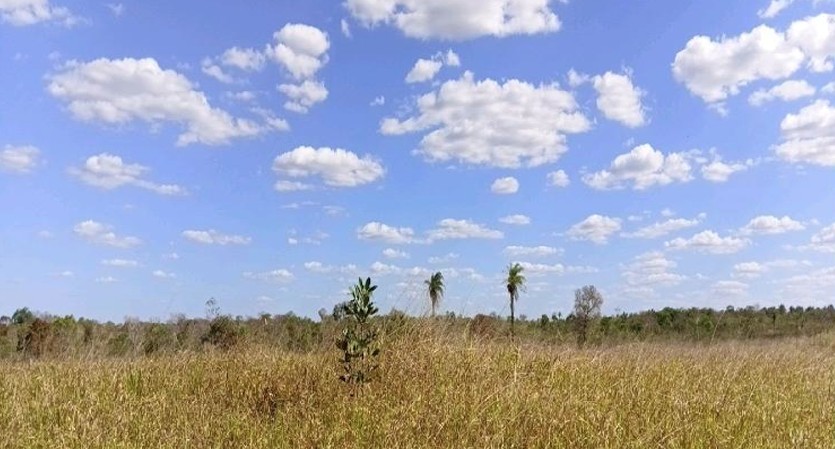 Imóvel Rural Bradesco em Sítio Novo / MA - 2f3b0a69