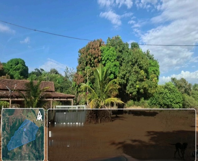 Imóvel Rural Bradesco em Paranã / TO - d3034588
