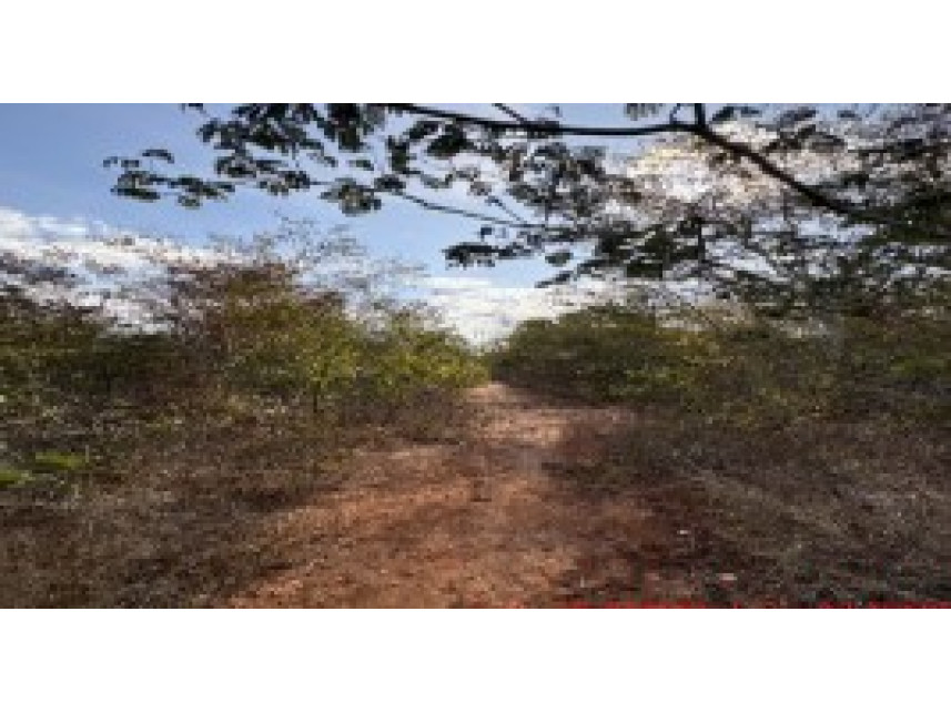 Outros Bradesco em Rio Pardo De Minas / MG - 5db04826