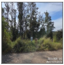 Terreno da Caixa em FELIZ / RS - 1444421964270